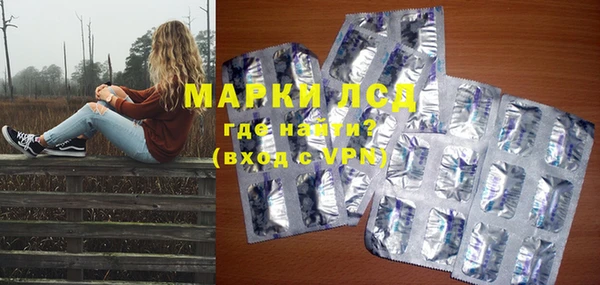 прущие грибы Арсеньев