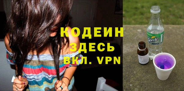 прущие грибы Арсеньев