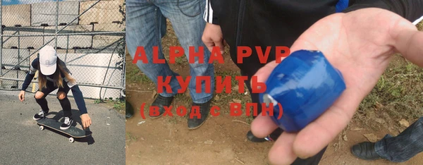 прущие грибы Арсеньев