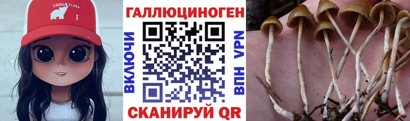 Псилоцибиновые грибы Magic Shrooms  Купить где  Алупка 